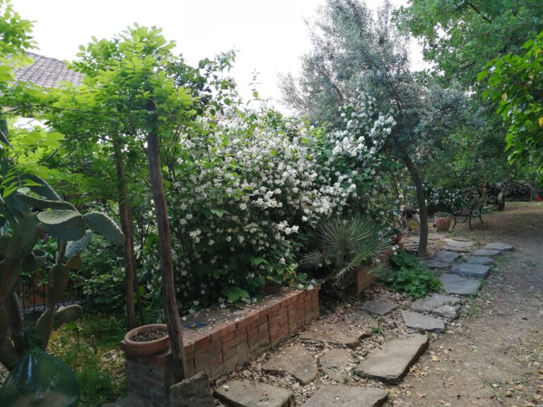 Il giardino di Rosa Canina tra pietra e vegetazione mediterranea